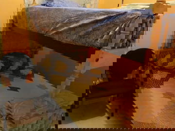 Chambre D'hôte Barcelona 642926-4