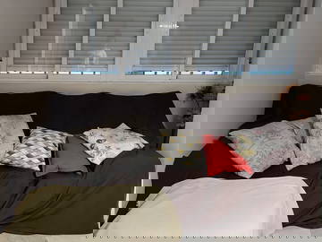 Chambre Chez L'habitant Madrid 662475-4