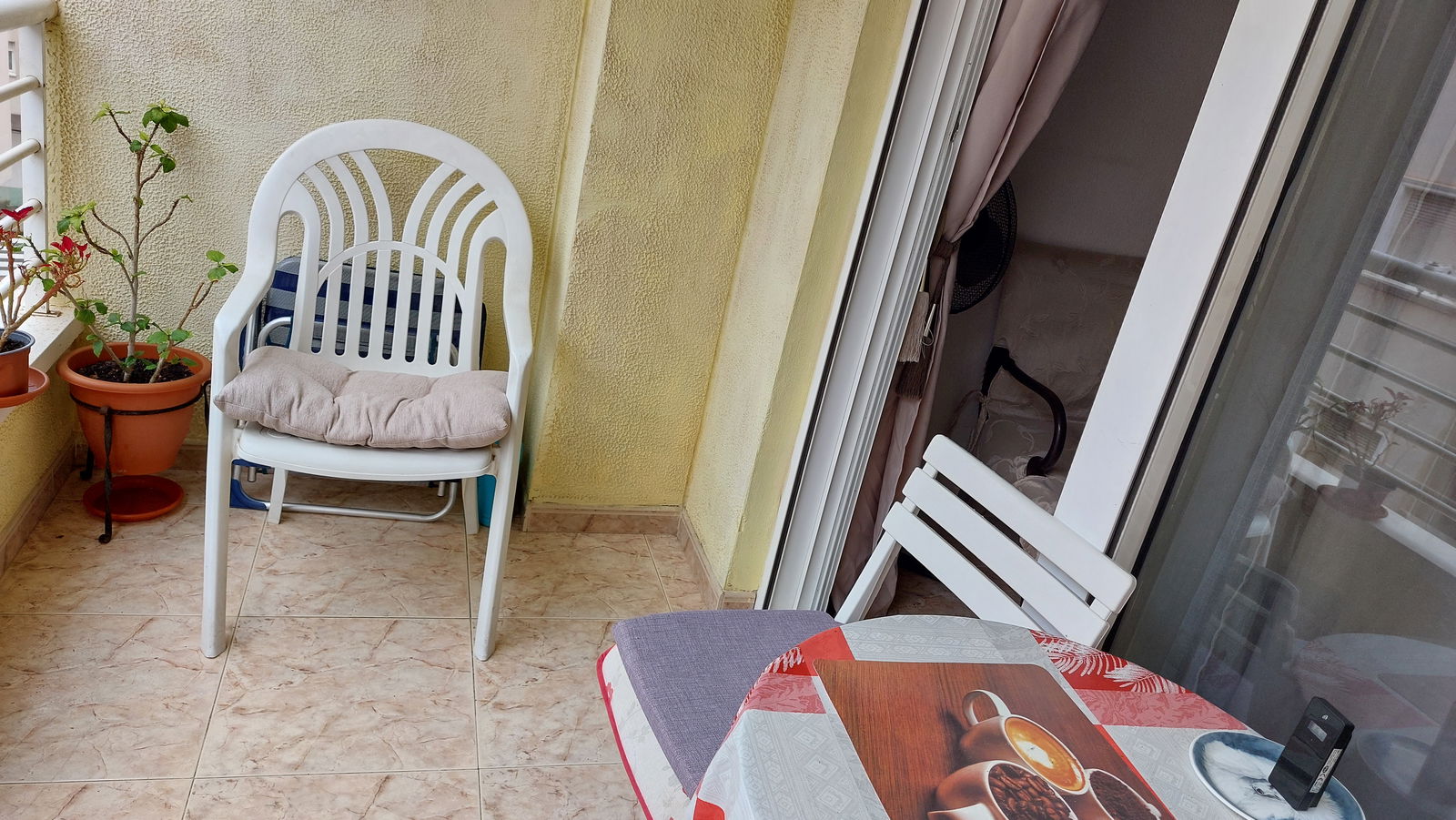 Colocación Torrevieja 560252