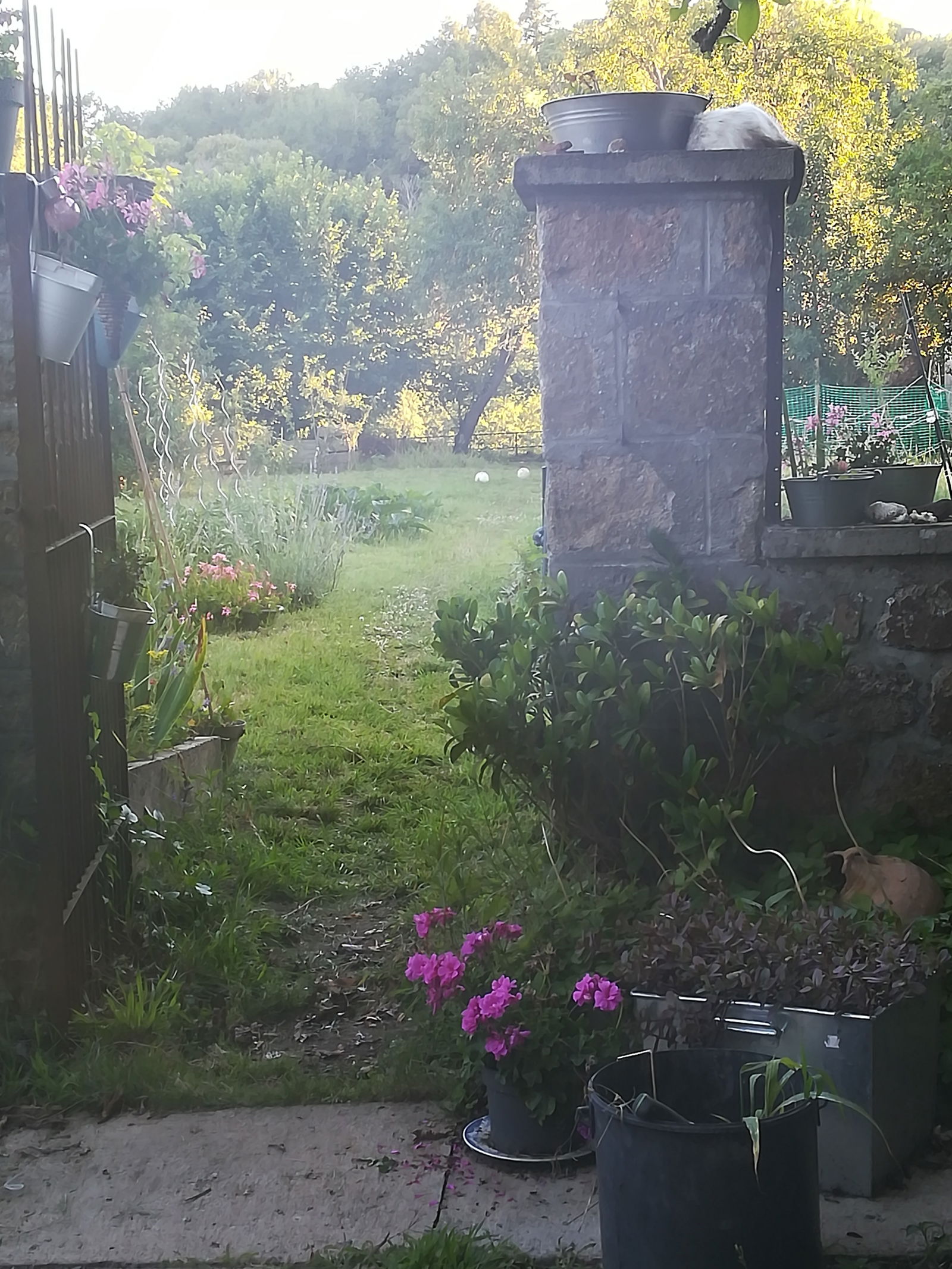 Quedarse En Casa Saint-Auvent 360010