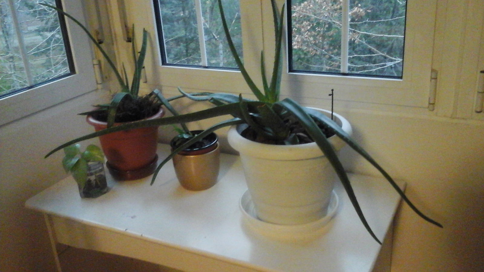 Hospedagem Em Casa De Família Madrid 123678