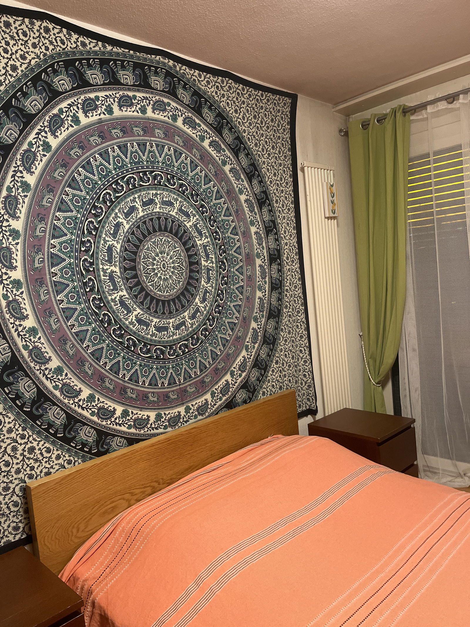 Hospedagem Em Casa De Família Thônex 518669