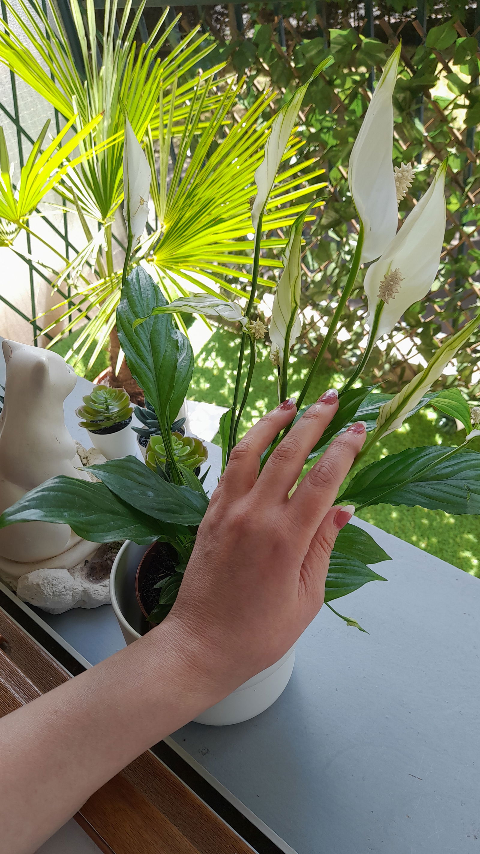 Hospedagem Em Casa De Família Corbeil-Essonnes 456382