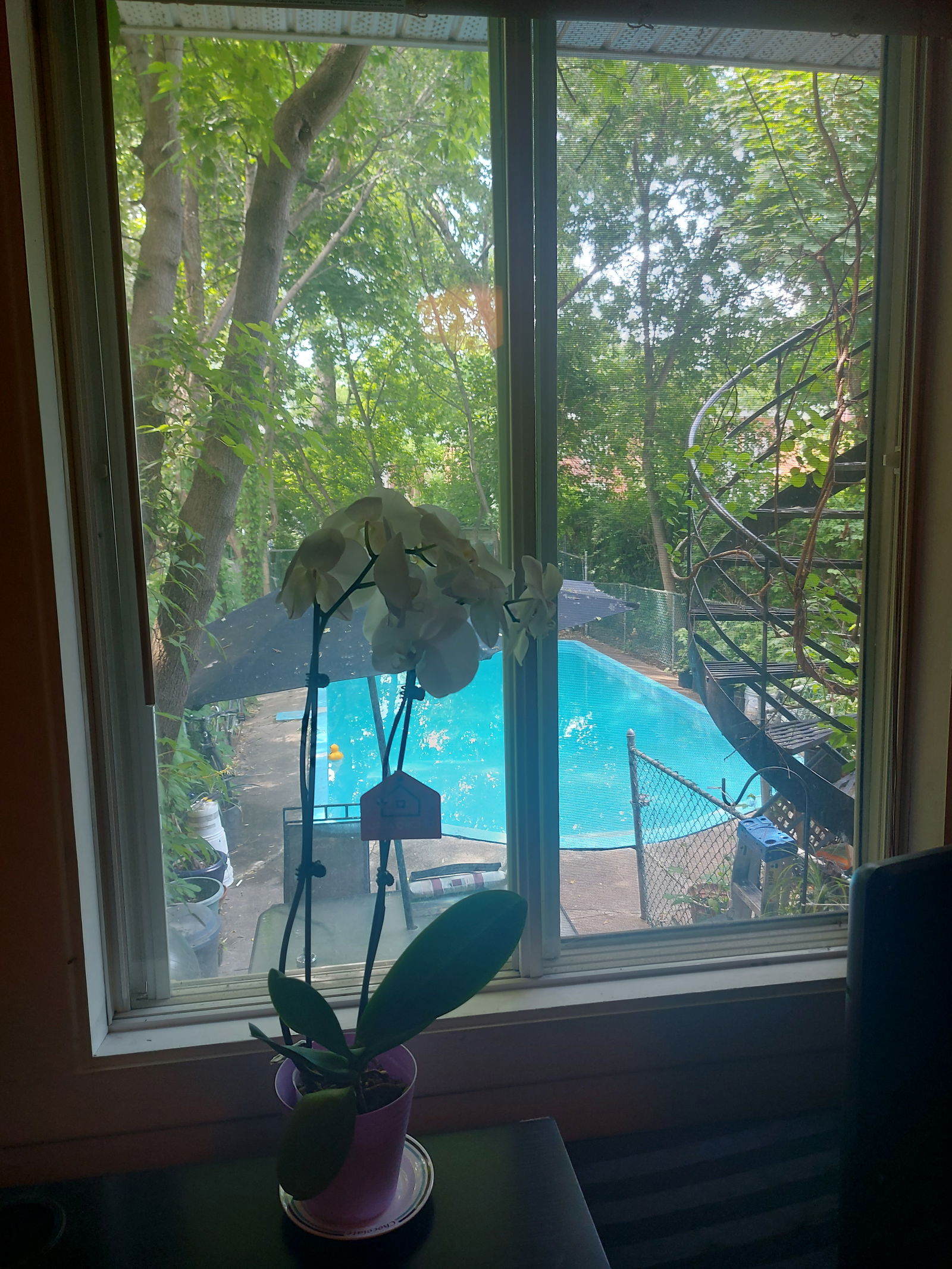 Hospedagem Em Casa De Família Montréal 387155