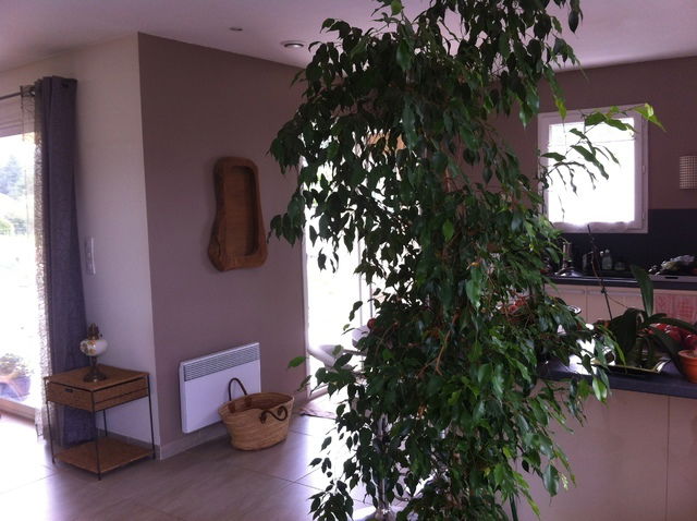 Hospedagem Em Casa De Família Sénas 57963