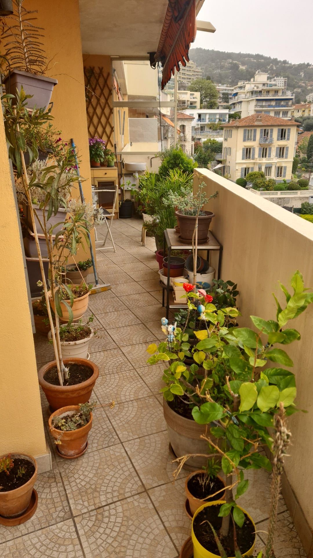 Hospedagem Em Casa De Família Nice 478204