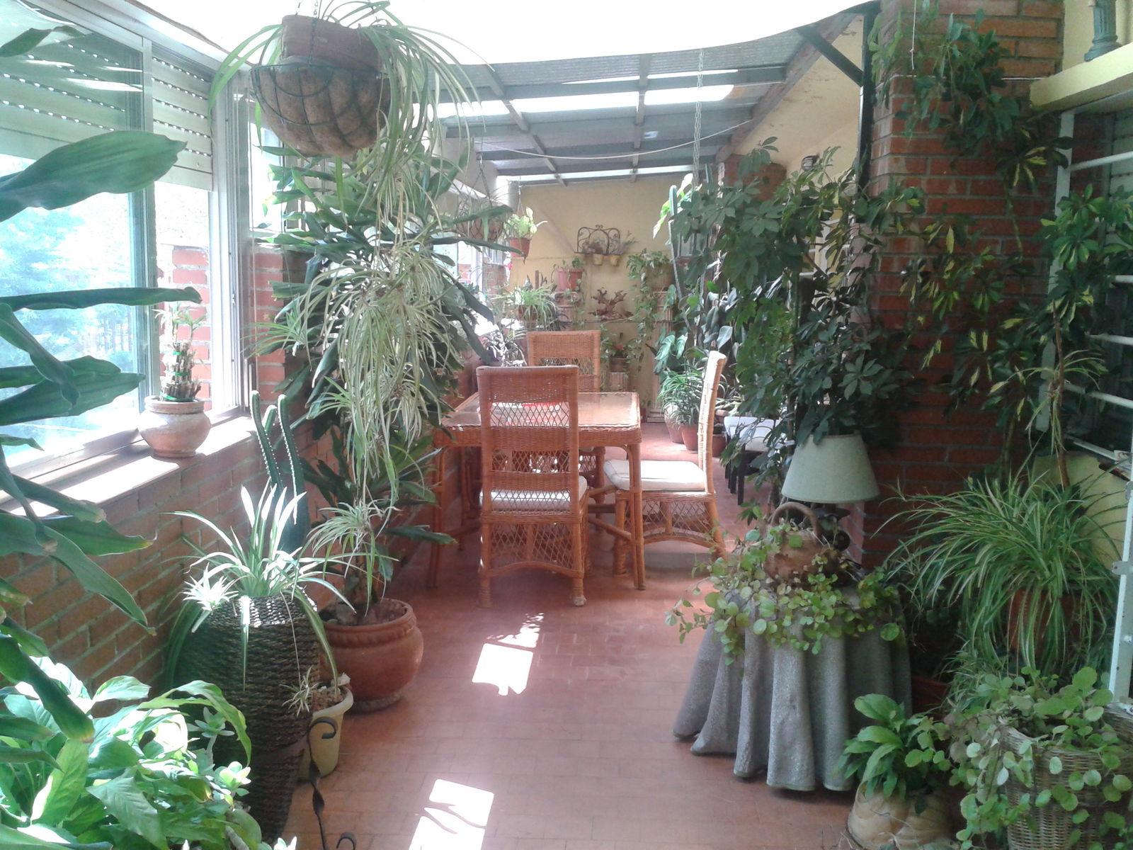 Hospedagem Em Casa De Família Madrid 121417