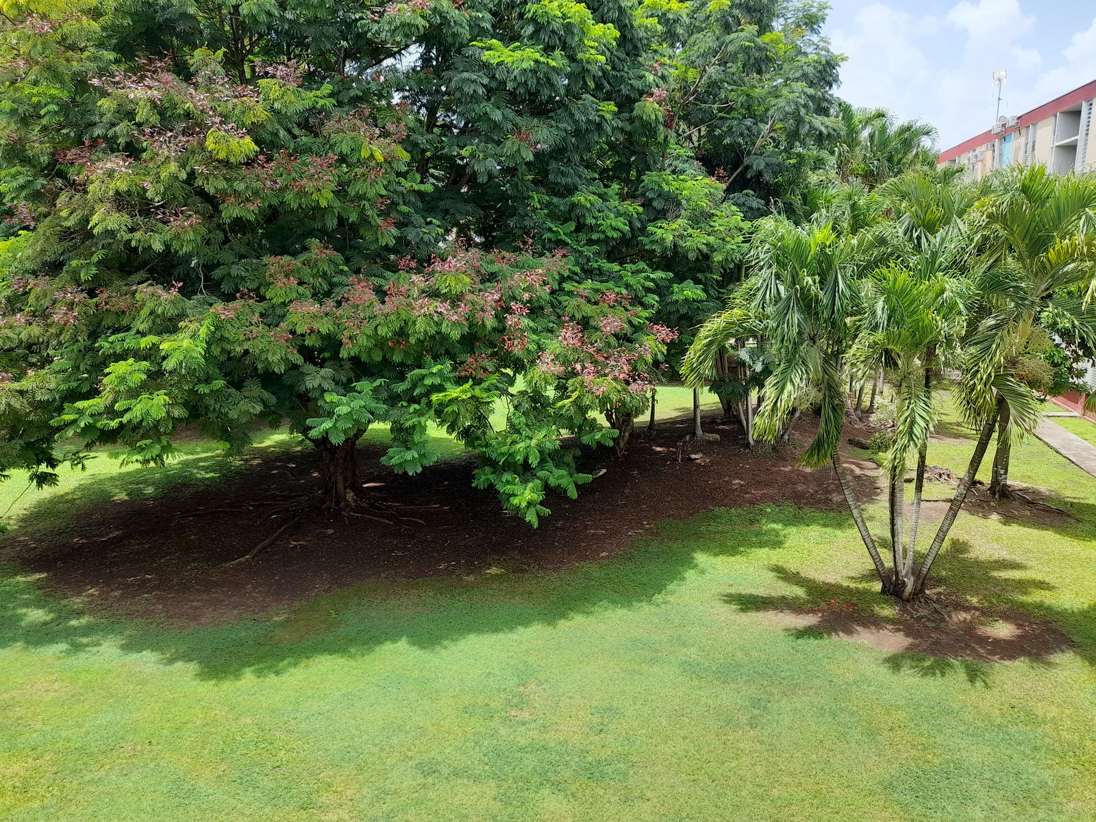 Colocação Les Abymes 514255