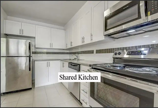 Coliving Toronto 462944