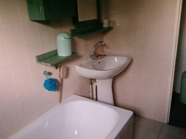 Hospedagem Em Casa De Família Blagnac 10153