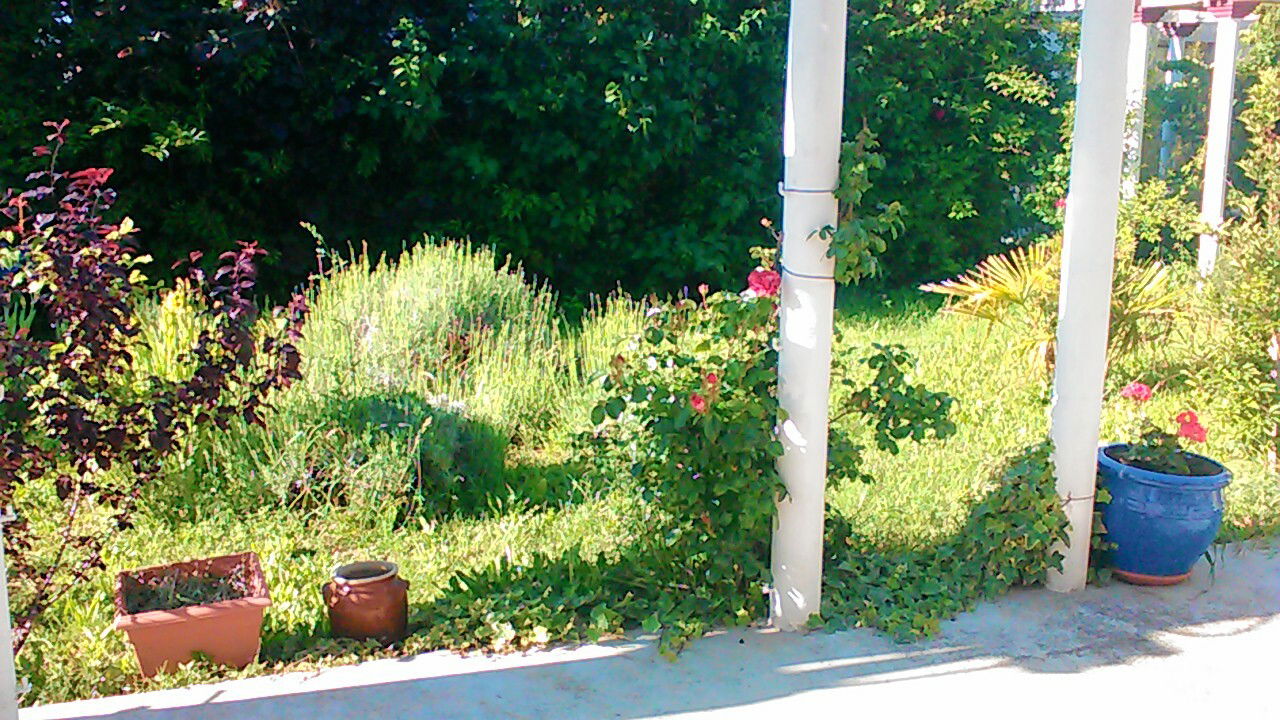 Estúdio Independente Sisteron 168392