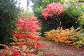 Hospedagem Em Casa De Família Ramonville-Saint-Agne 424685
