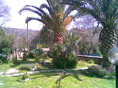 Ganz Haus Sardegna 134248