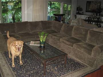 Chambre Chez L'habitant Los Angeles 191688-5