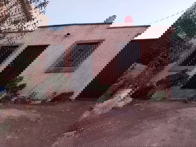 Gastgezin Tijuana 620996