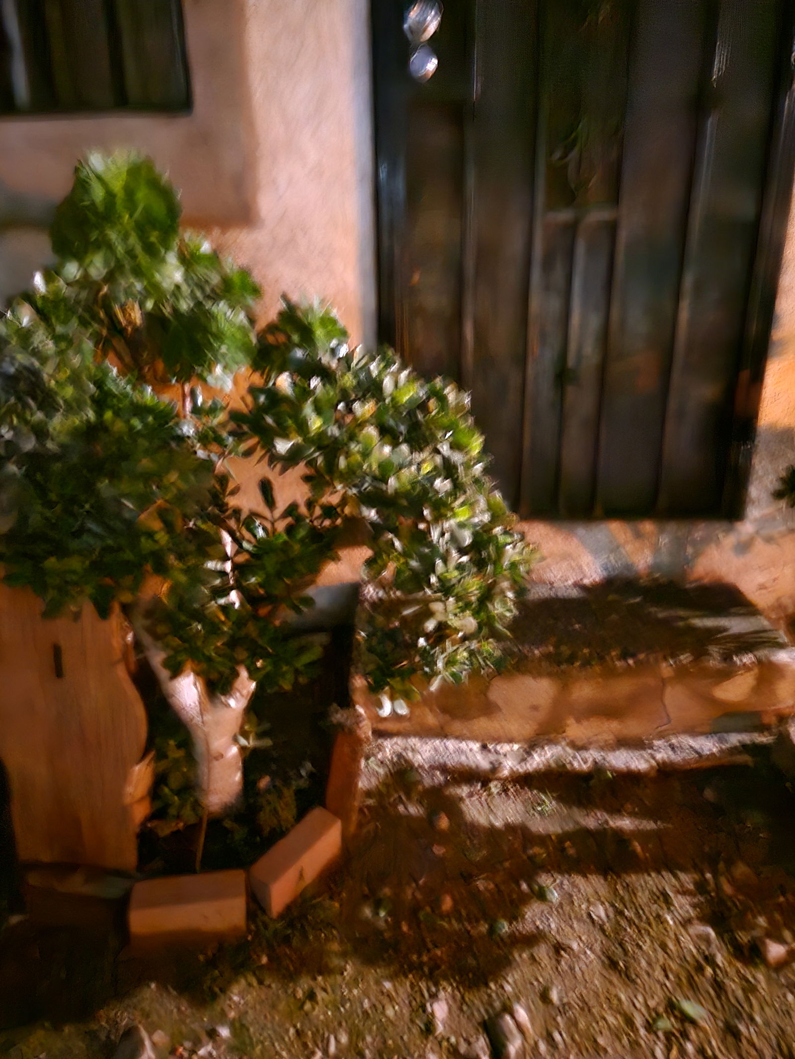 Homestay Tijuana 620996