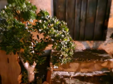 Bed And Breakfast Tijuana 621023-2