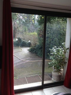 Famiglia Saint-Pierre-la-Palud 163061