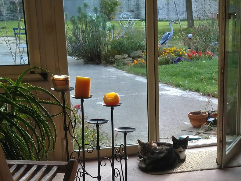 Chambres D'hôtes La Devise 169946-1