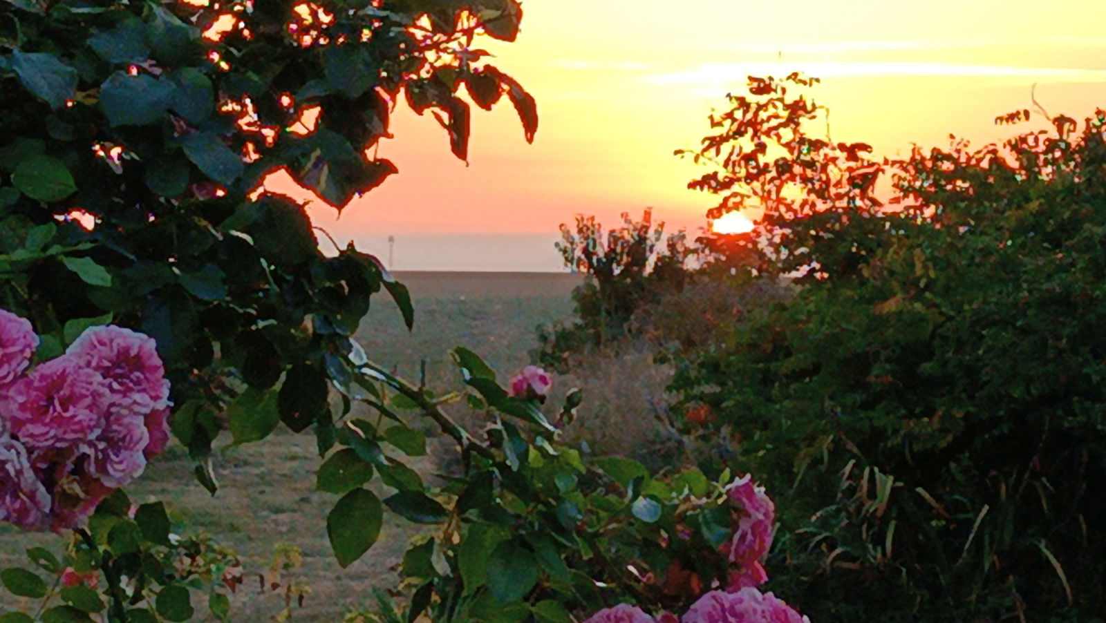 Bed And Breakfast La Devise 169946