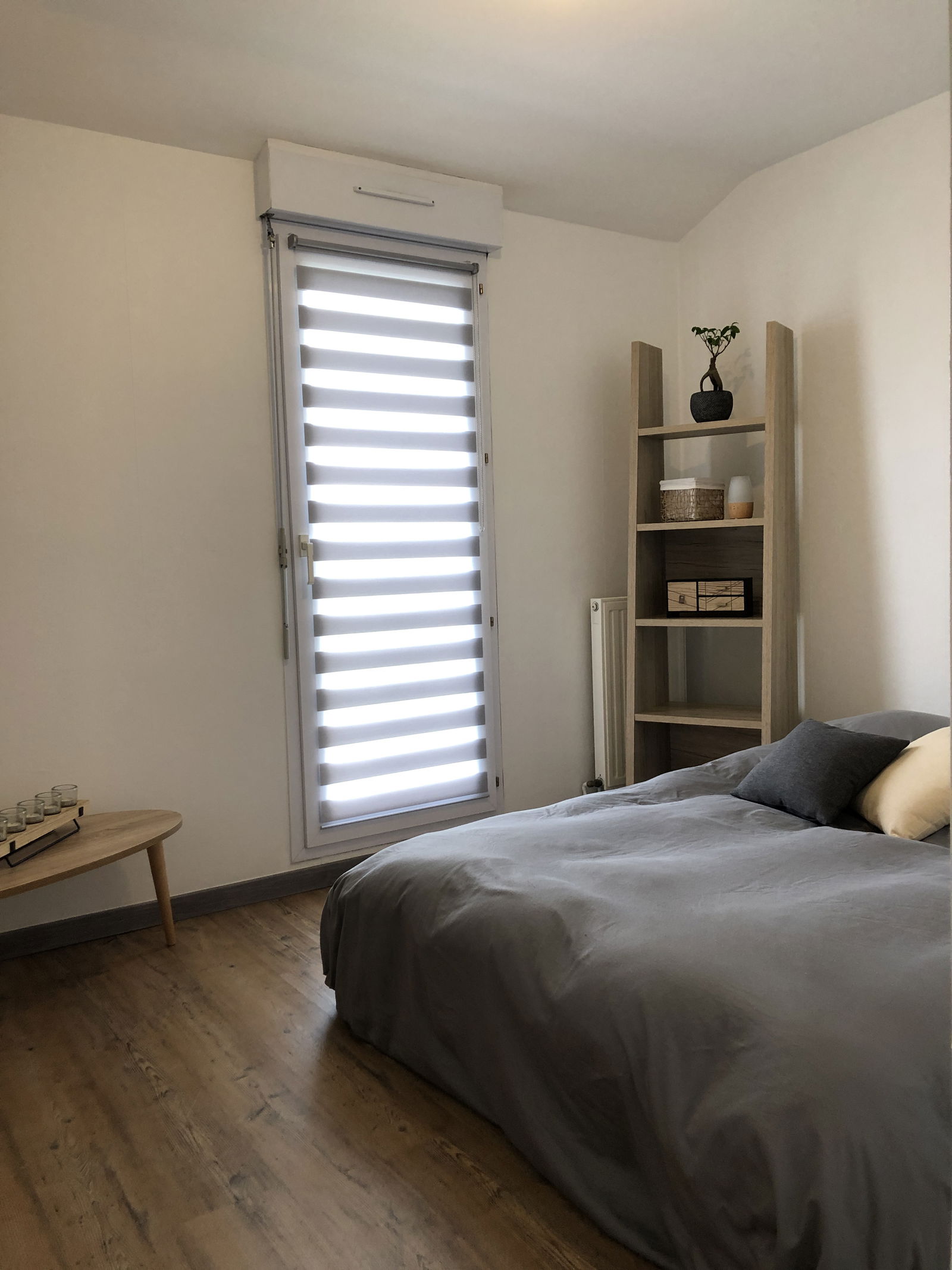Colocation Angers 224498