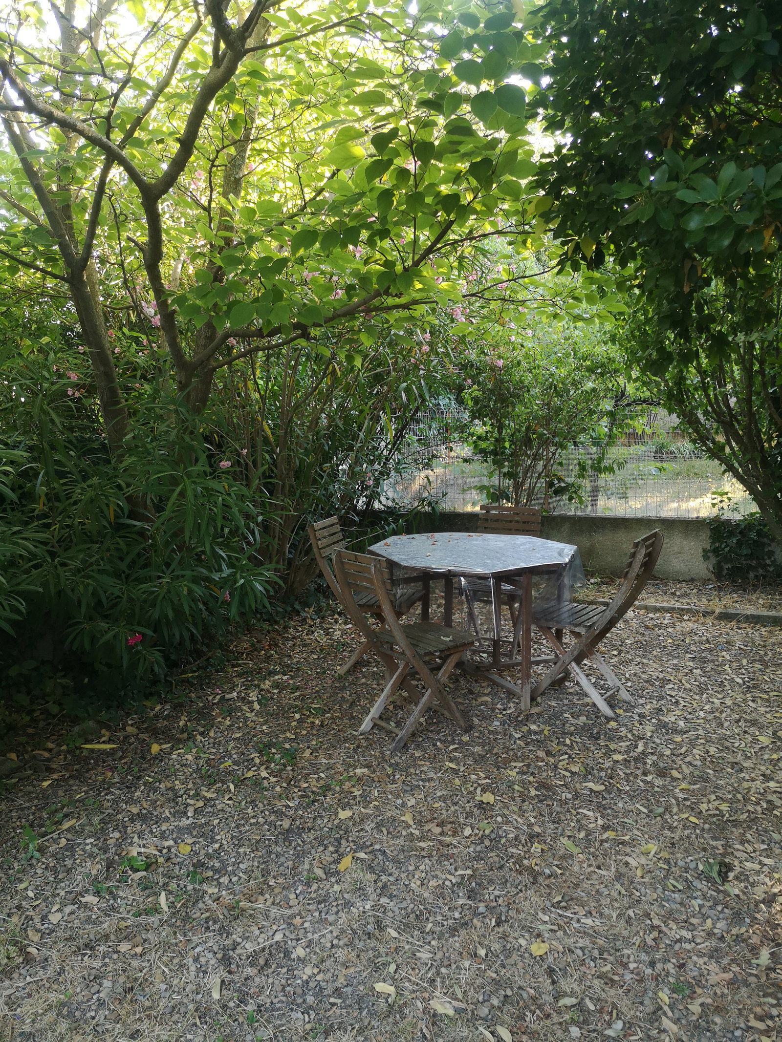 Ganz Haus Nîmes 445572