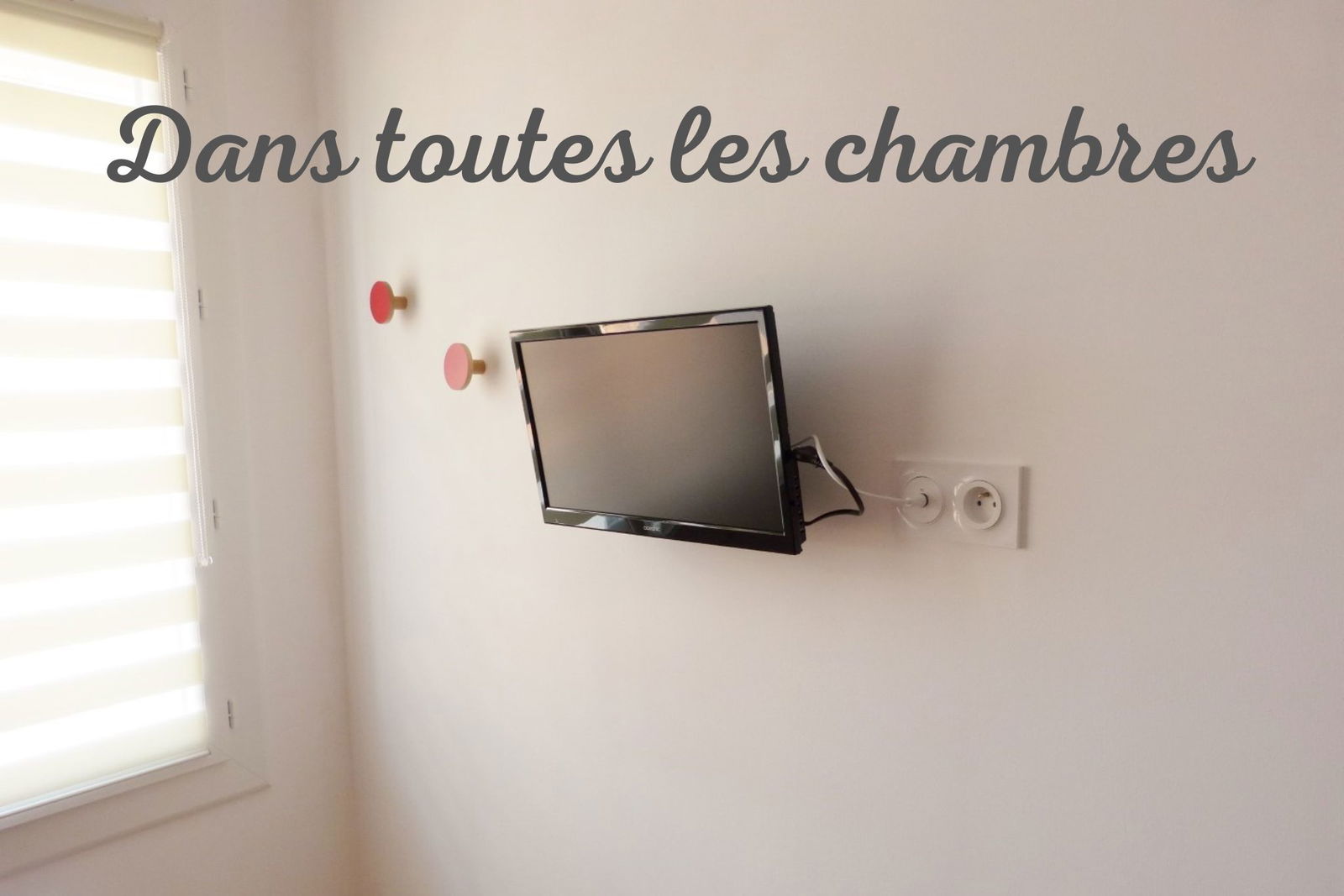 Colocation Perpignan 438643