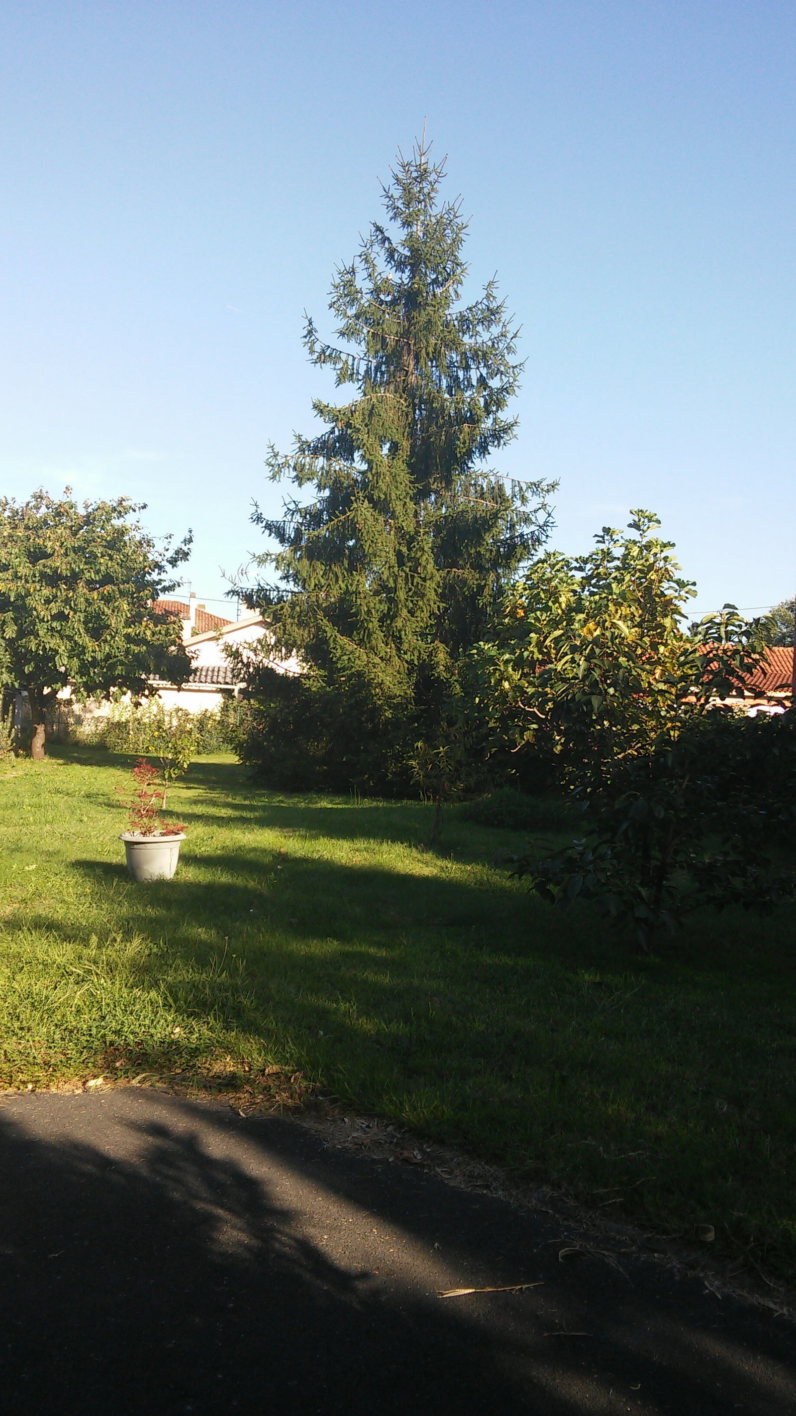 Gaascht Zëmmeren Bassens 133698