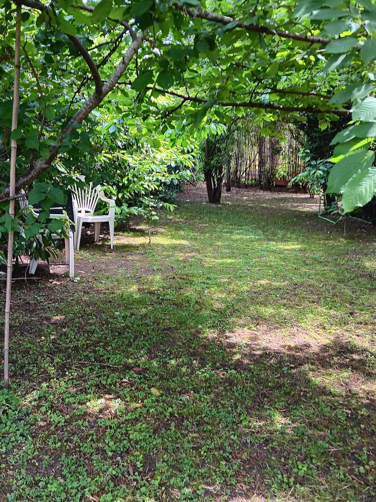 Homestay Bondy 223334