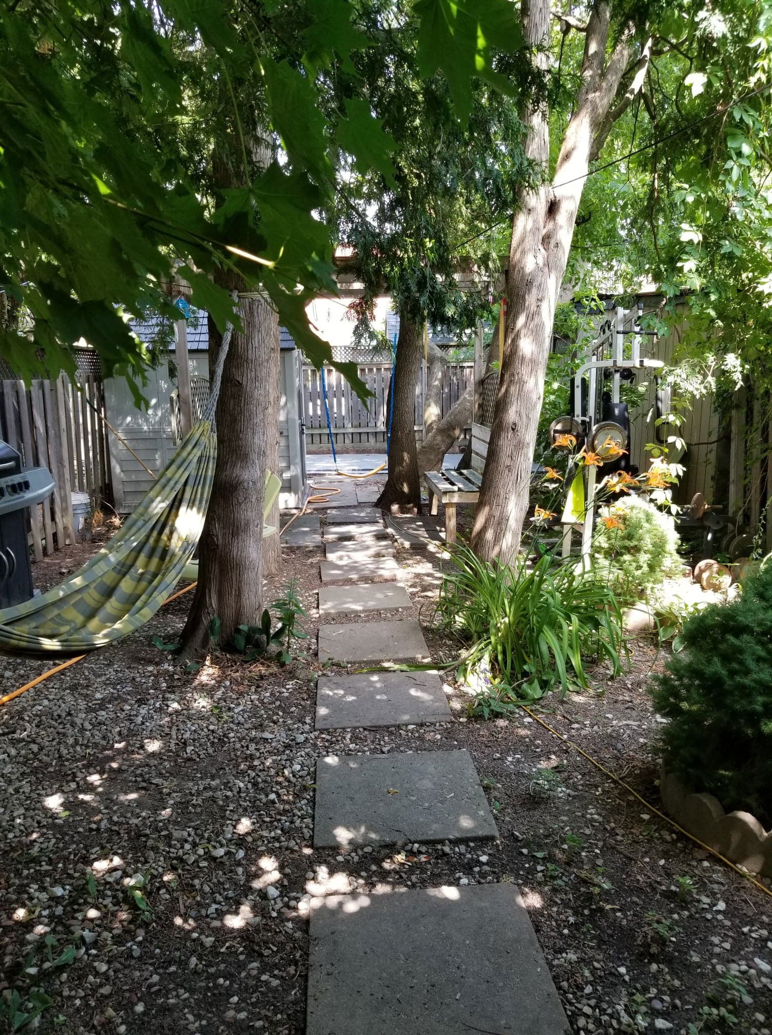 Homestay Toronto 235420