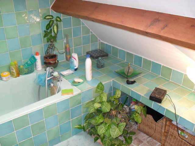 Homestay Saint-Maur-des-Fossés 46467