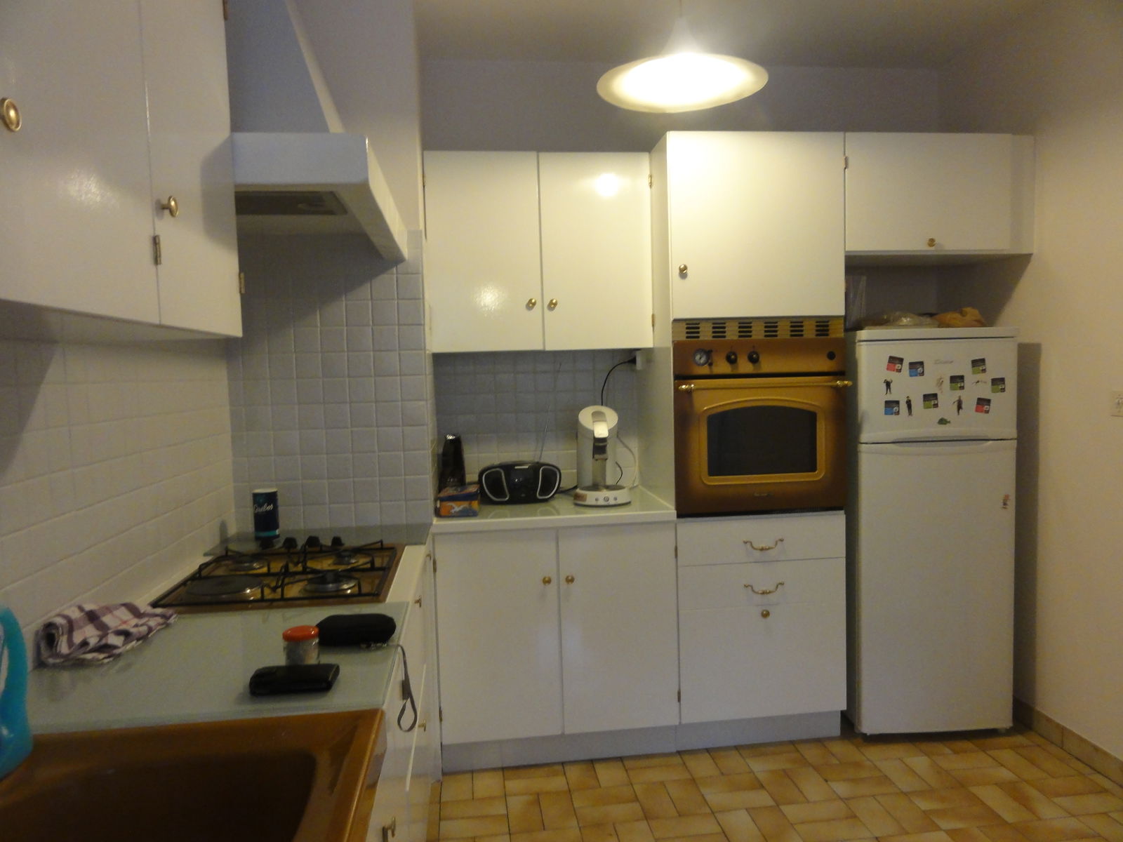 Colocation Annecy 247230
