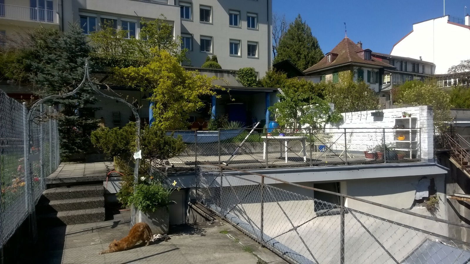 Colocation Fribourg 133723