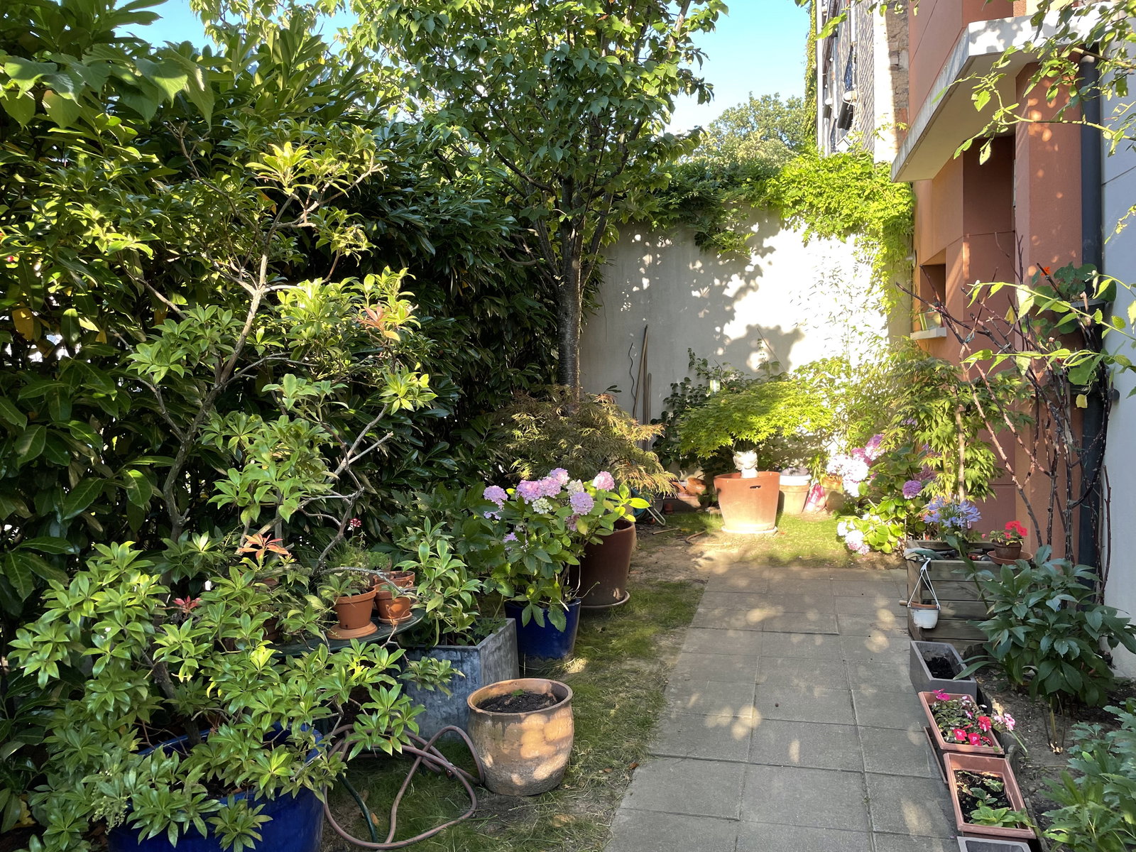 Homestay Colombes 253126