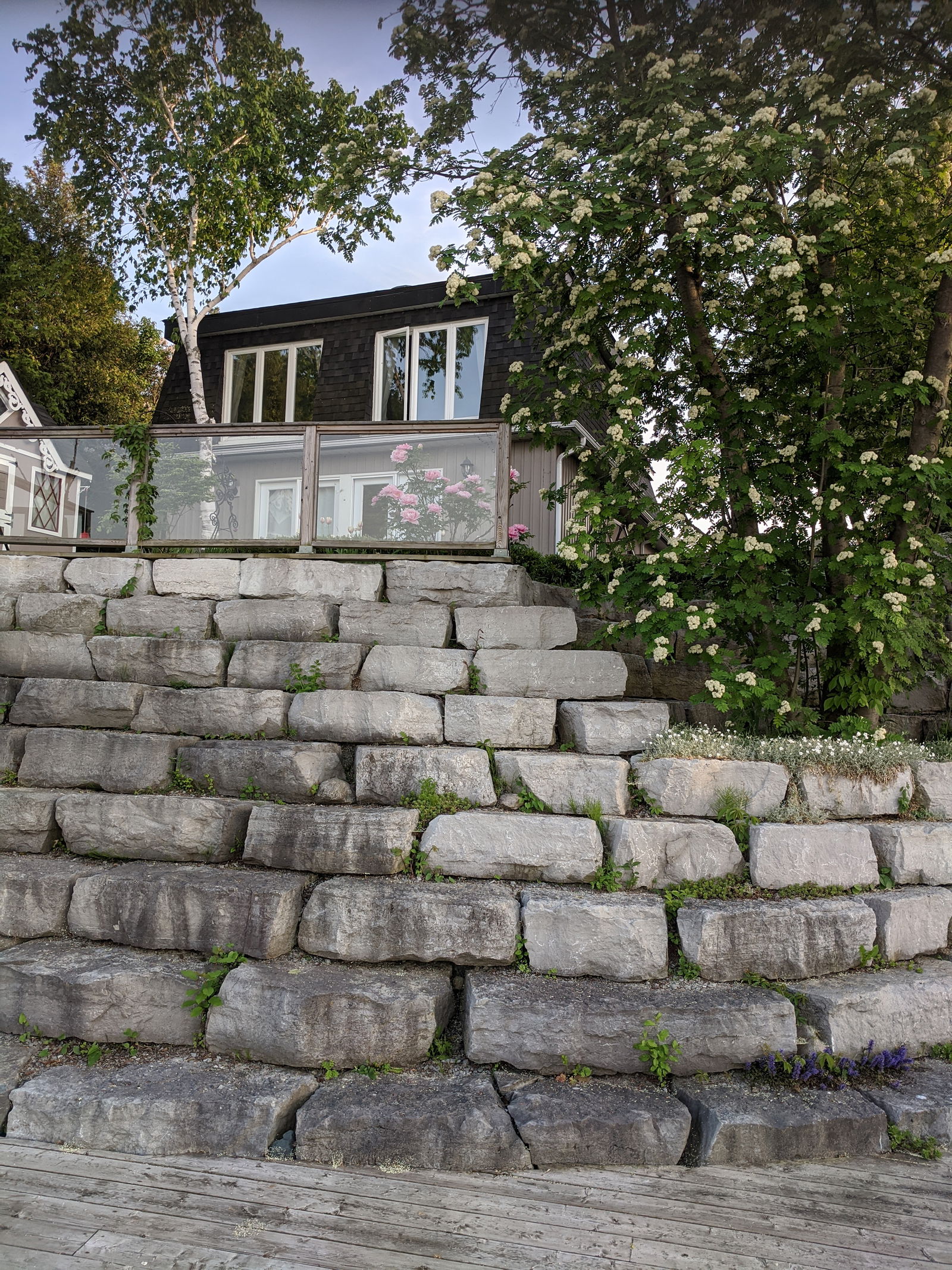 Homestay Georgina 415421