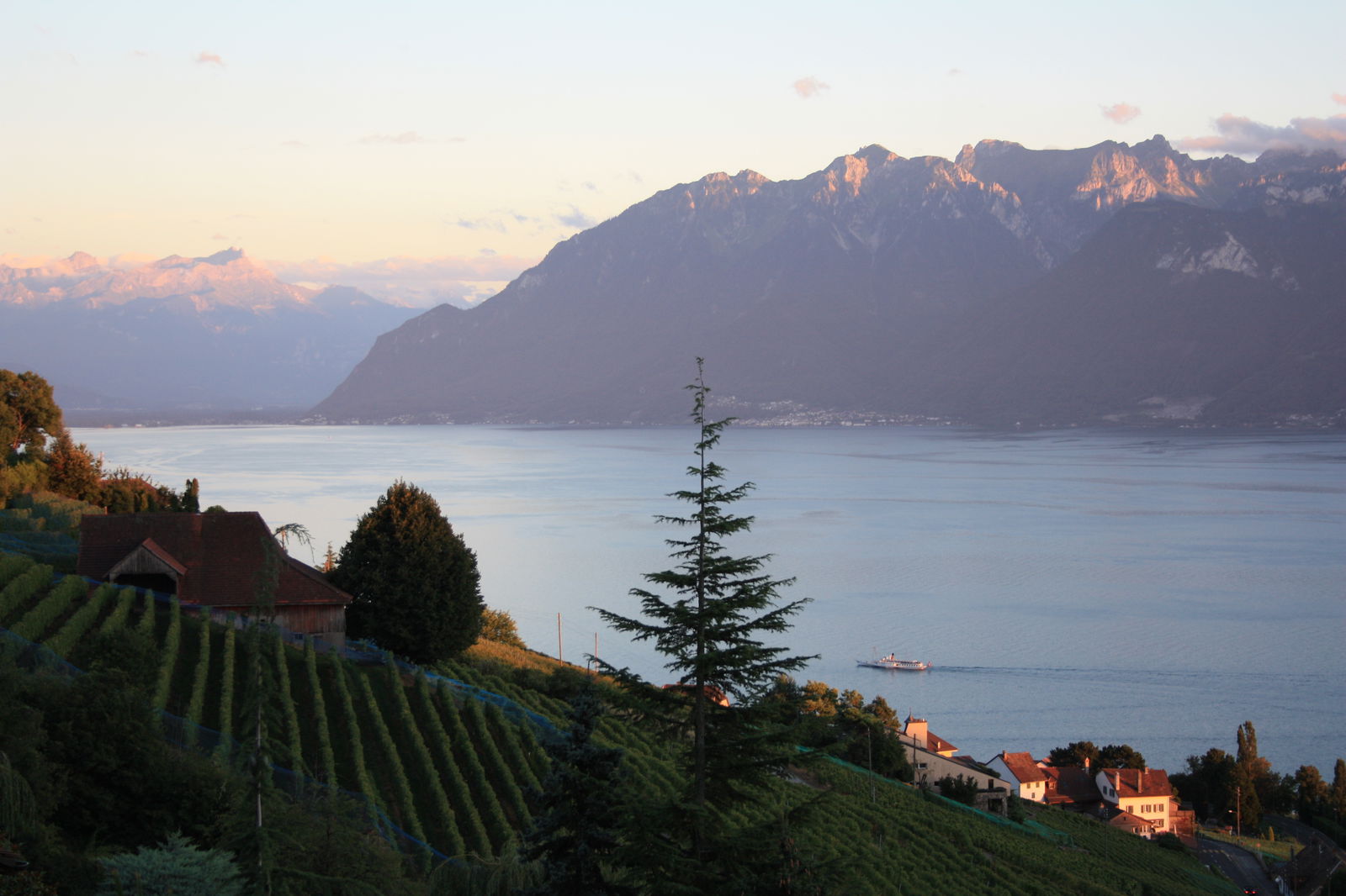 Homestay Bourg-en-Lavaux 227127