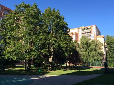 Homestay Toulouse 141194