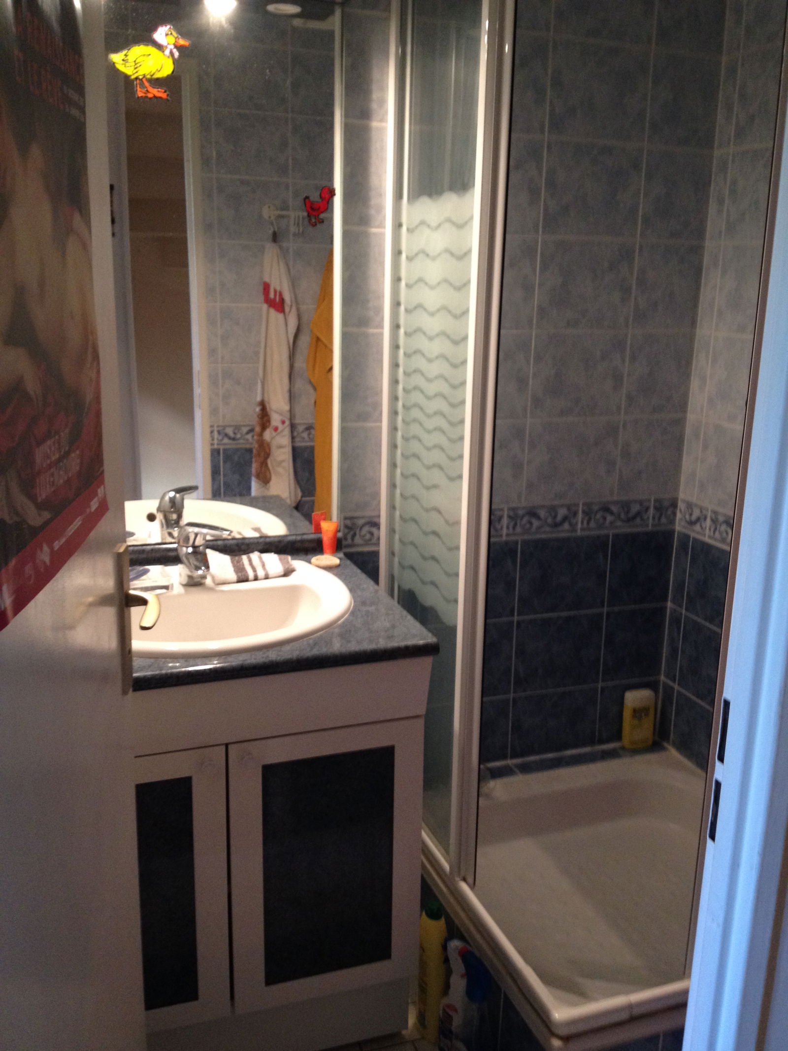 Homestay Saint-Germain-en-Laye 387259