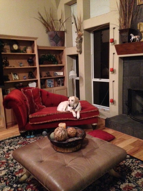 Famiglia McKinney 161749