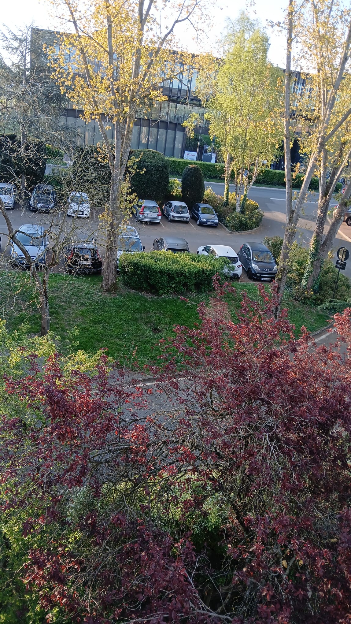 Famiglia Saint-Germain-en-Laye 242074