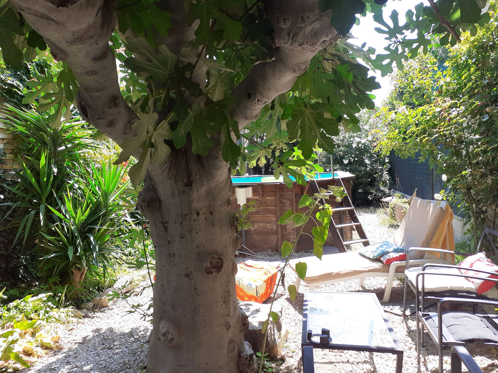 Famiglia Salles-d'Aude 86765