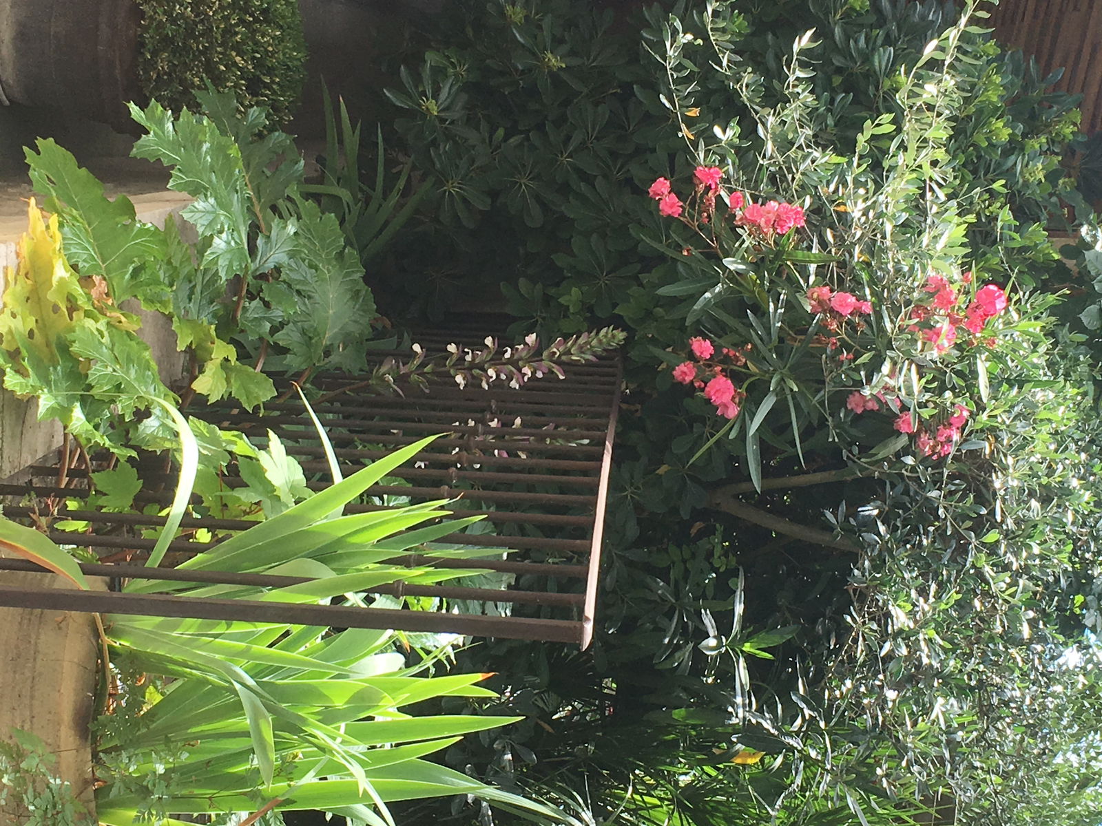 Famiglia Nyons 192553