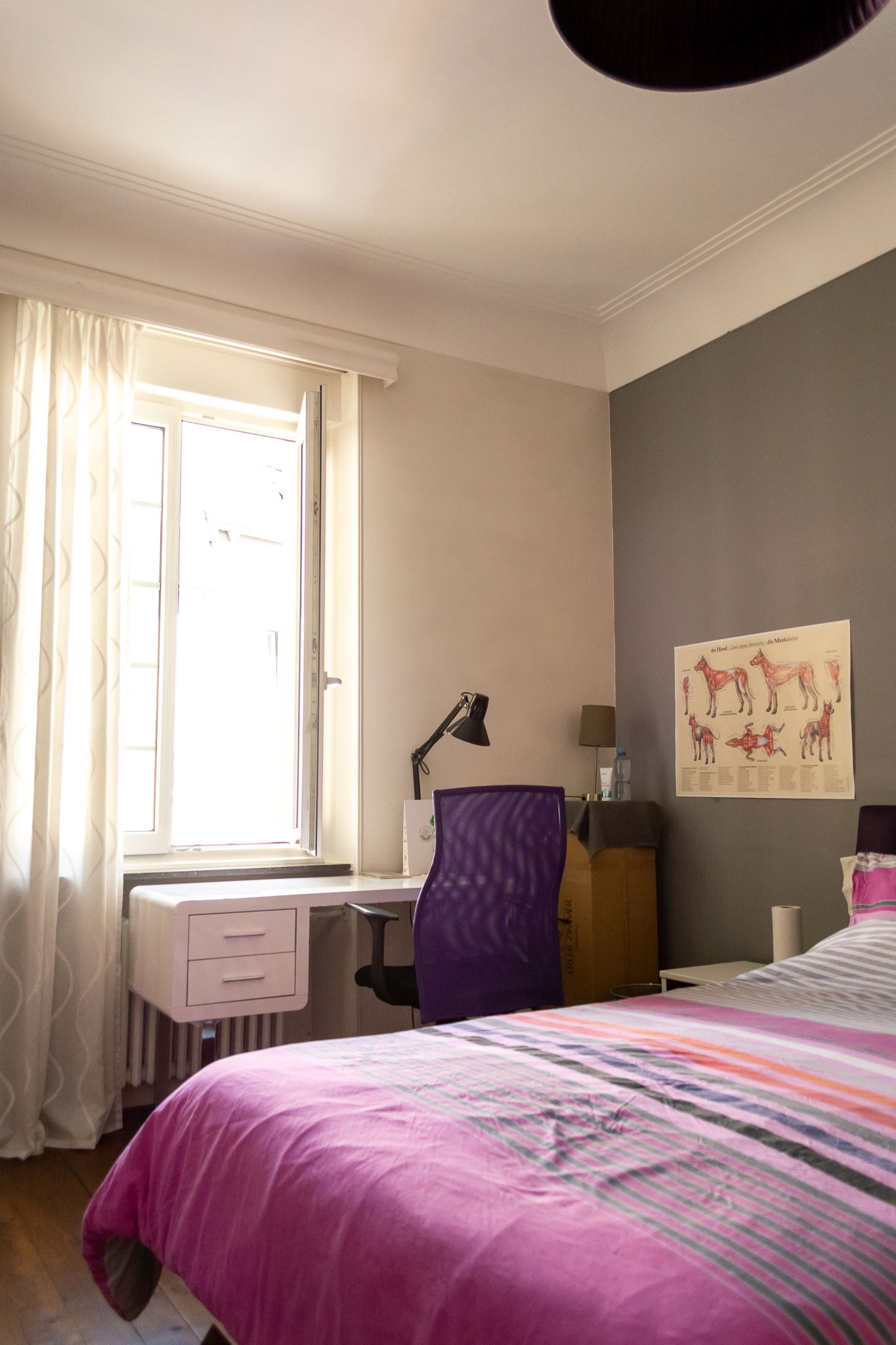 Collocazione Dudelange 181044