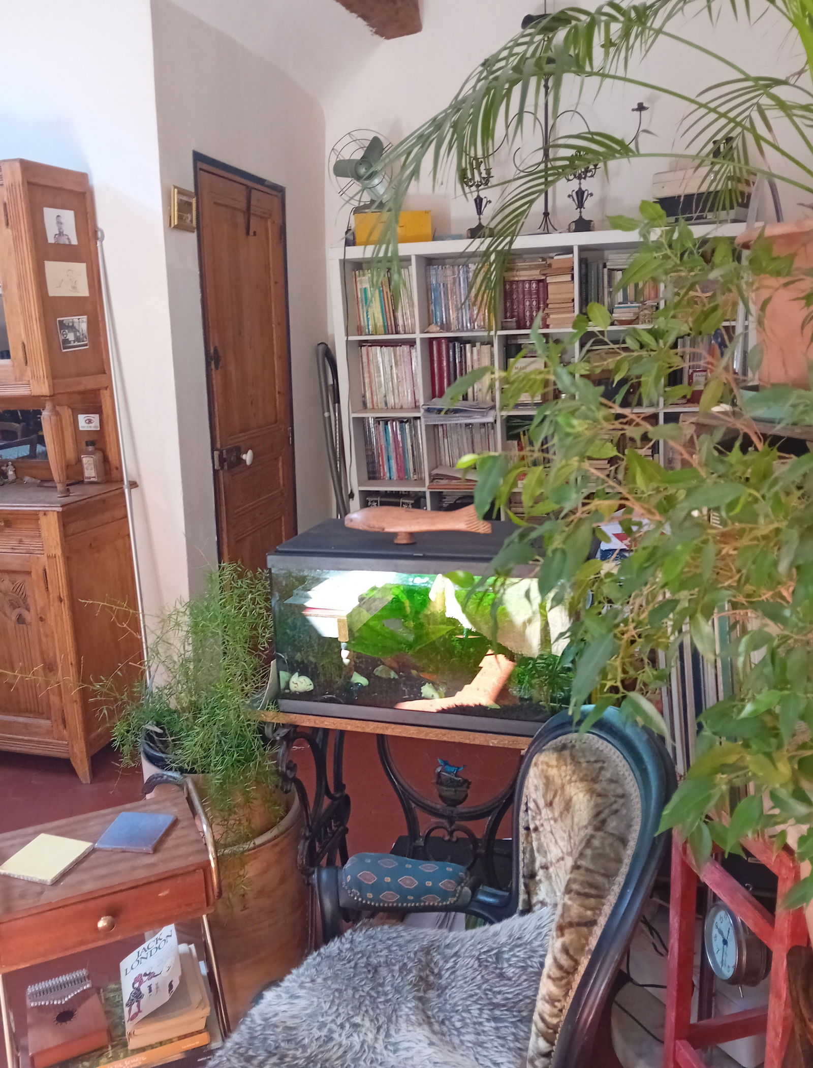 Famiglia Aubagne 264685