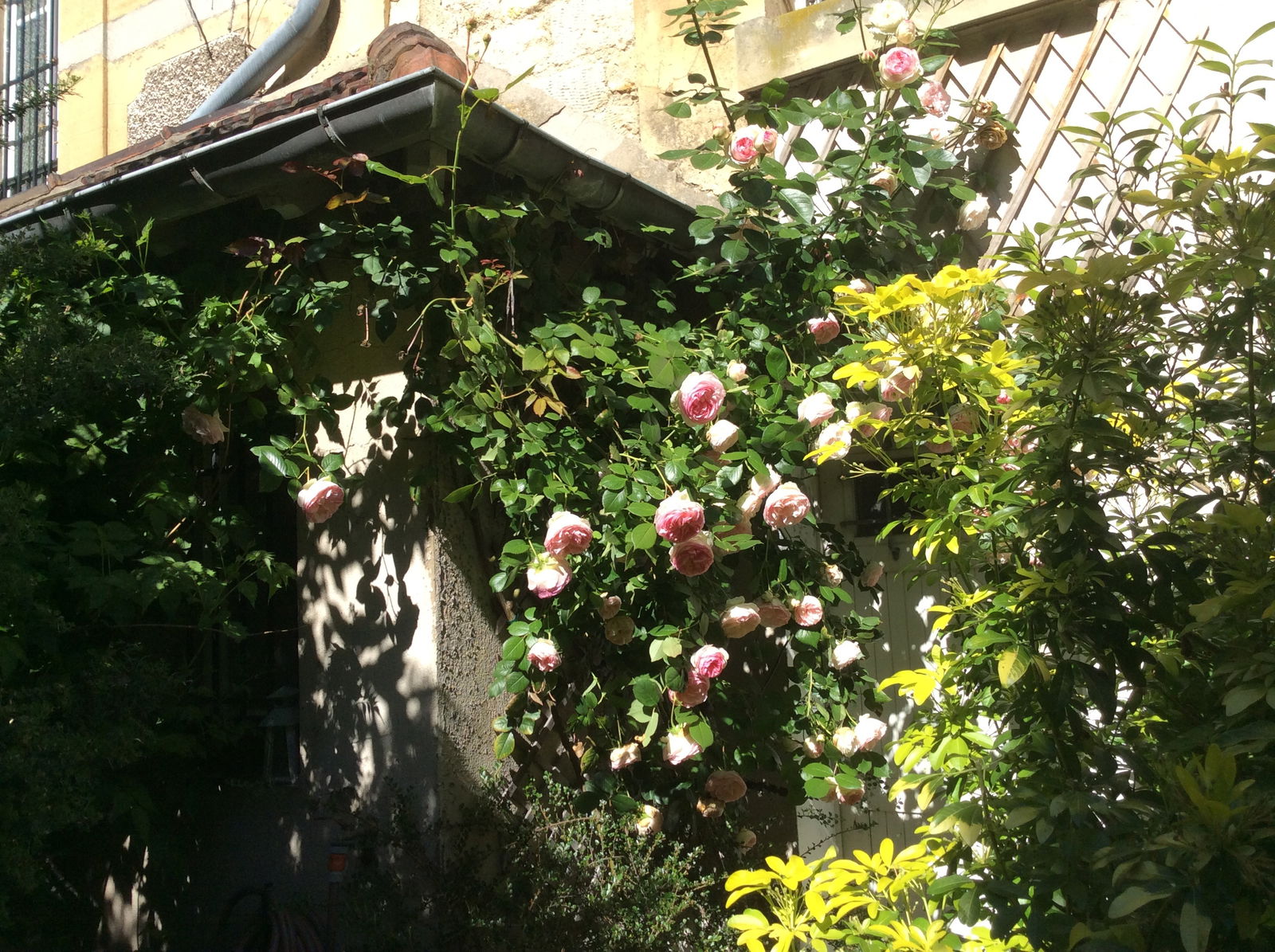 Famiglia Gouvieux 243899