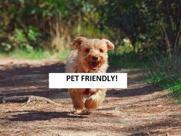 Shared Accommodation Dormelletto 289812-14