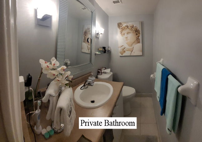 Coliving Toronto 462944