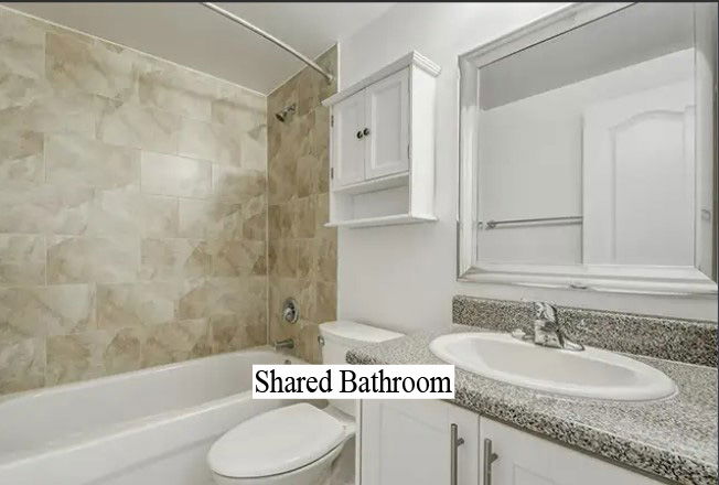 Coliving Toronto 462944