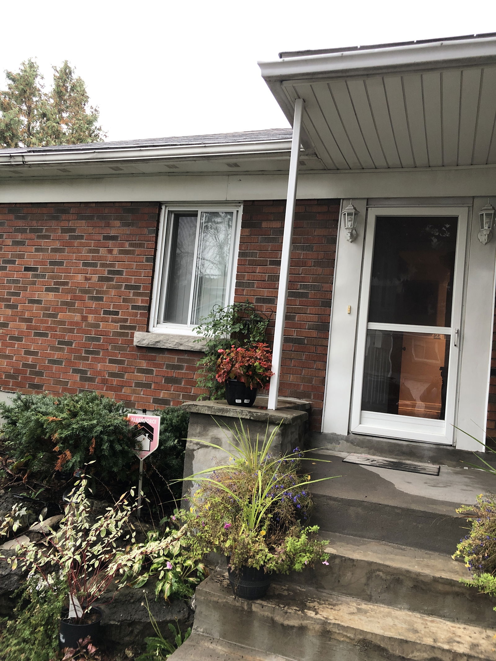 Famiglia Montréal 253371