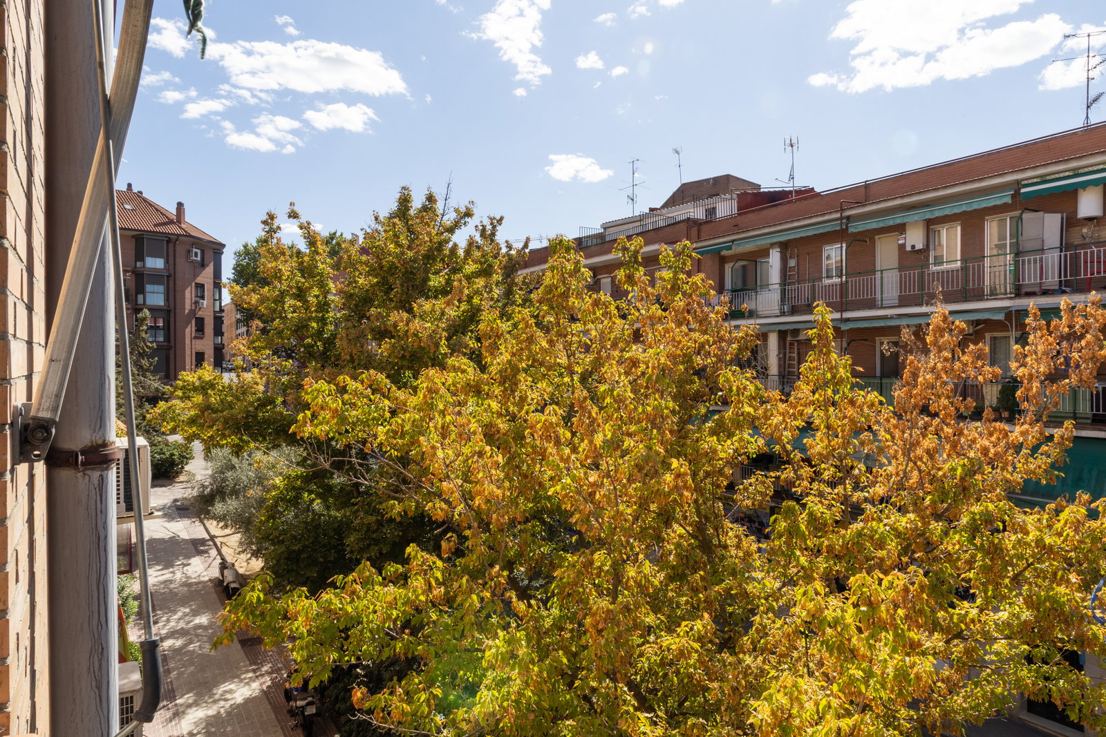 Famiglia Madrid 664149